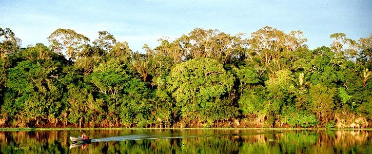 A Amazônia é o resultado da prática de agroflorestas