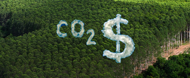 Criação de mercado do carbono avança no Brasil com decreto