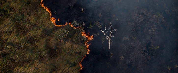 Desmatamento da Amazônia custará mais de R$ 1 tri ao agronegócio até 2050
