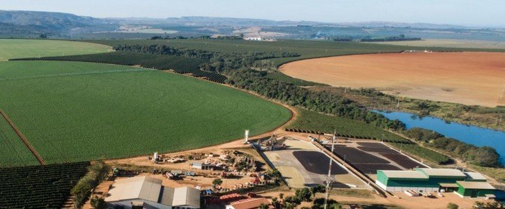 Fazenda brasileira recebe a primeira certificação de cafeicultura regenerativa do mundo